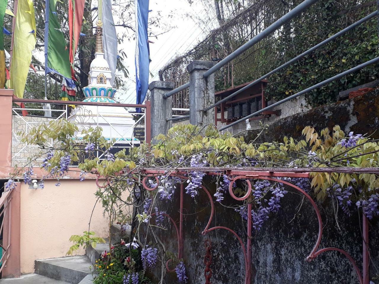 Little Singamari Home Stay Darjeeling (West Bengal) Exterior foto
